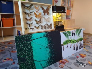 IMG_20210326_111815